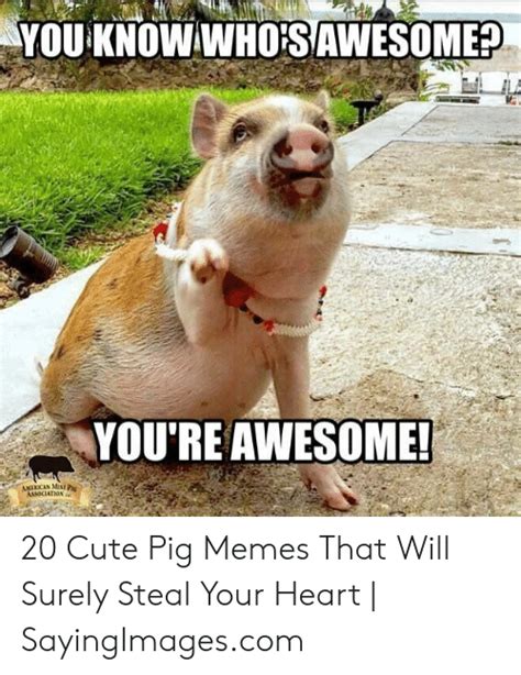 🅱️ 25 Best Memes About Whos Awesome Meme Whos Awesome Memes