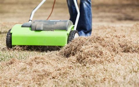 Today i'll show you the options to dethatch your lawn and fix those yellow or brown ugly areas in the lawn. 9 Best Lawn Dethatchers To Rid Your Lawn Of Thatch