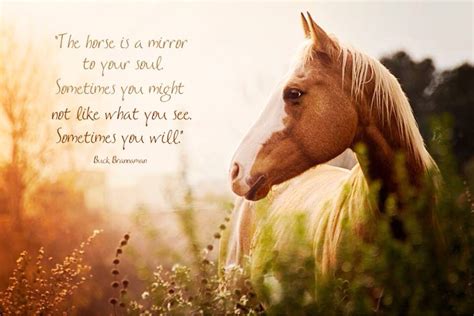 The Horse Is A Mirror To Your Sojl Horses Horse Quotes Barrel