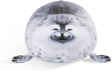 Fat Seal Wallpapers Wallpaper Cave