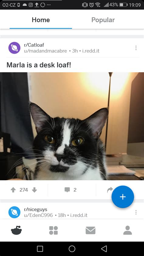 Asian4asian, the billboard read, in an oversized. Reddit's new app is horrible. I have a 5.5" screen and ...