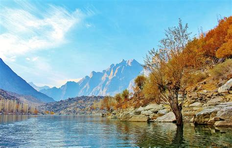 Hd Wallpaper Photography Of Nature Tree Lake Pakistan Landscape