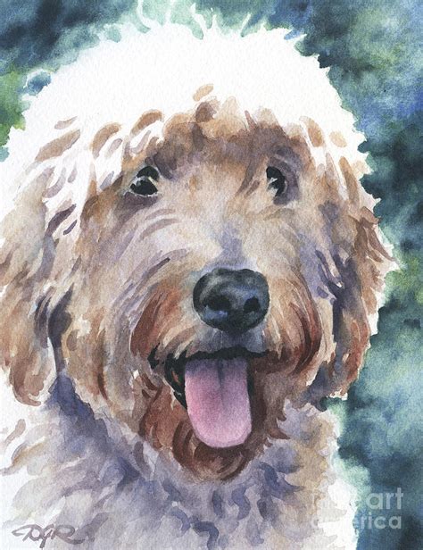 Goldendoodle Painting By David Rogers Fine Art America