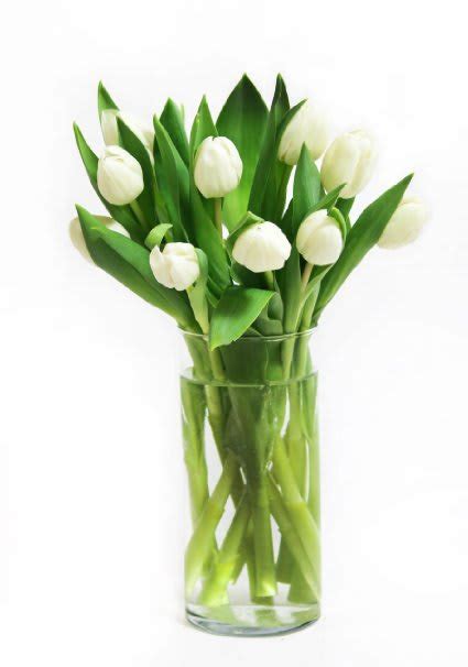 White Tulips In Vase By Bel Air Flowers