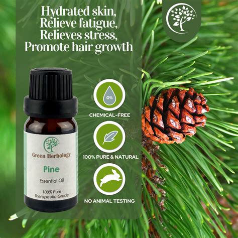 Pine Essential Oil Green Herbology
