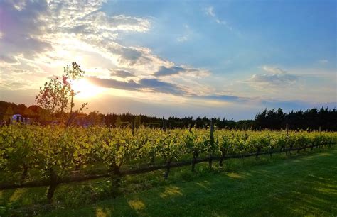 North Fork Wineries With Gorgeous Views Long Island Pulse Magazine
