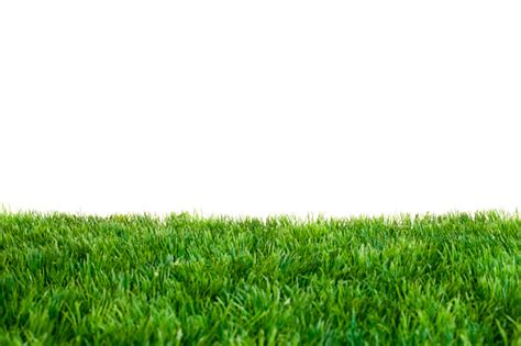 100 Grass Field Pictures Download Free Images On Unsplash