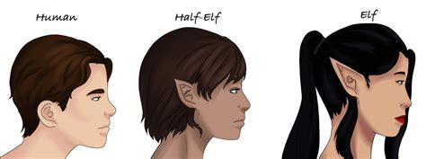 The Difference Between Elves And Half Elves — Meddlesome Art