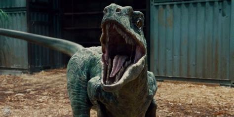 Owen describing his relationship to the raptors.(src) blue is a female velociraptor that appears in jurassic world, jurassic world: Jurassic World: What Makes Blue Different? | Screen Rant
