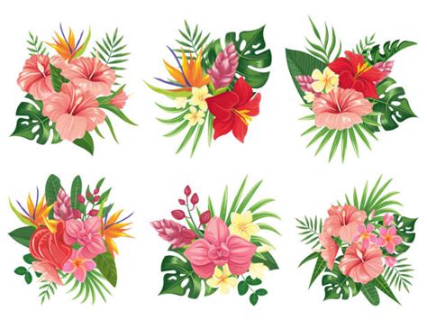 Tropical Flowers Illustrations Royalty Free Vector Graphics And Clip Art