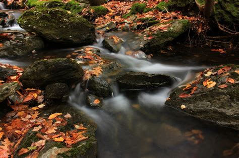 Wallpaper Landscape Colorful Forest Fall Waterfall