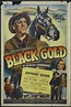 [Ver Película] Black Gold [1947] Película Completa Con Audio Latino