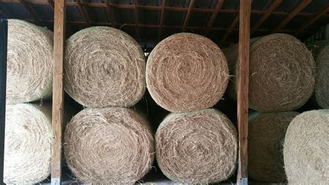 Hay Which Is Cheaper Round Versus Square Bale Ufifas Extension