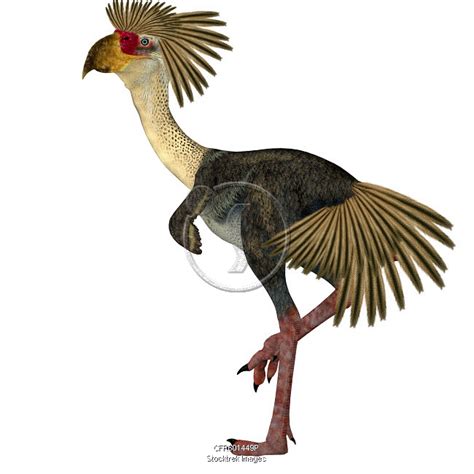 Phorusrhacos Terror Bird Standing On One Leg Stocktrek Images