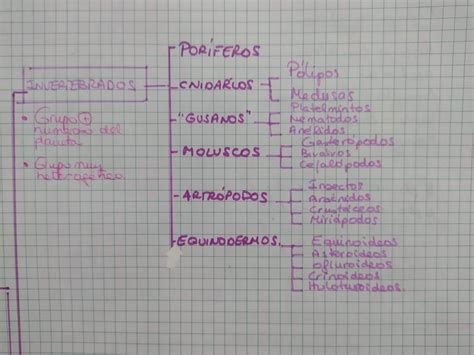 Cultura Científica Y Mas En El Ies Las Viñas BiologÍa Y GeologÍa Para