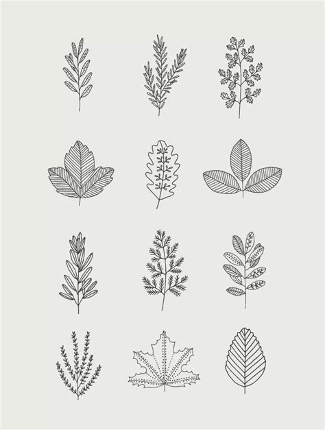 30 Ways To Draw Plants And Leaves Drawings Leaf Drawings Leaf