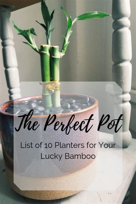 The Perfect Pot Is Hard To Find Thats Why I Made A List Of 10 Best