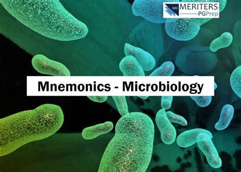 Neet Pg Microbiology Mnemonics