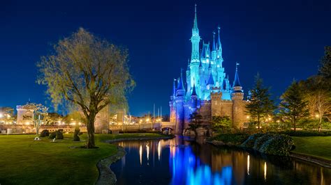 Disney Castle Background For Zoom Carrotapp