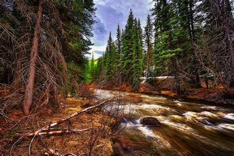 Picture Hdr Spruce Nature Forests Rivers Trees