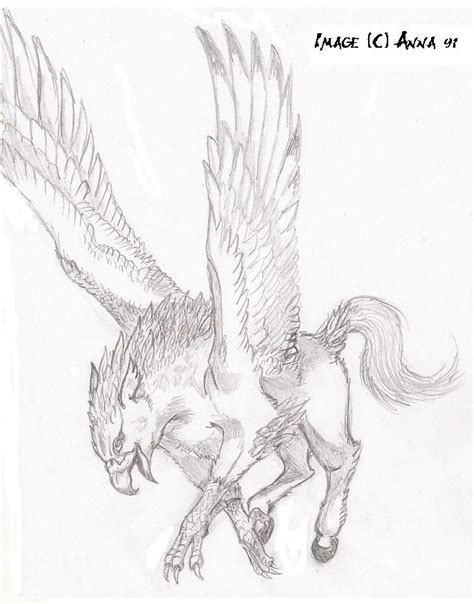 Hippogriff By Anna Xiii On Deviantart