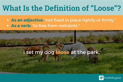Loose Vs Lose Whats The Difference The Grammar Guide