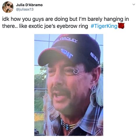 Tiger King Memes Of The Craziest Reactions To The Joe Exotic