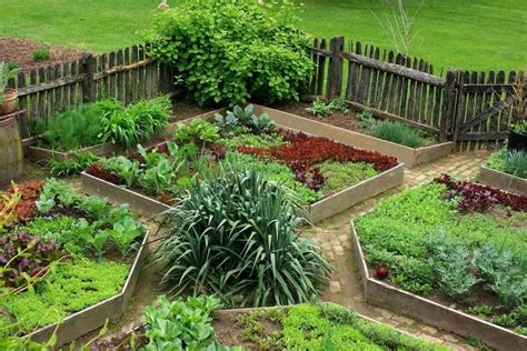 Rawberts Organic Garden Preppers Garden Organic Gardening Tips