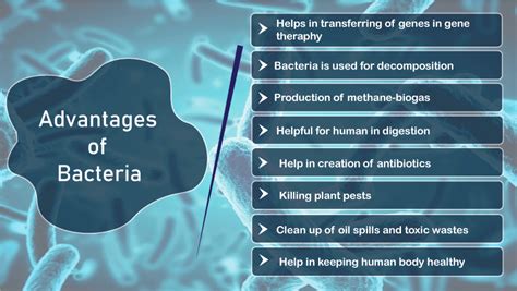 Advantages And Disadvantages Of Bacteria Javatpoint