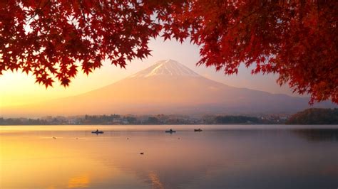 Red Mapple Leaves And Mount Fuji Wallpaper Backiee