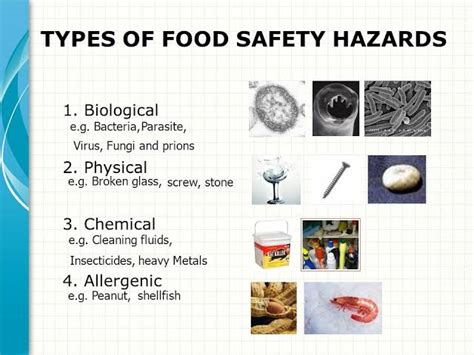 The Food Safety Hazards