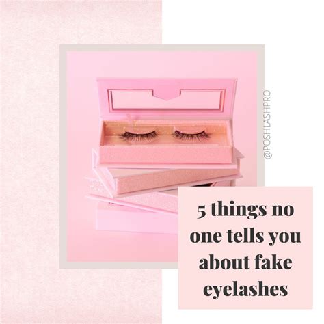 5 Things No One Ever Tells You About Fake Eyelashes Posh Lash Pro
