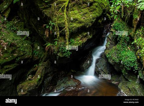 Pucks Glen Waterfalls Argyll Forest Park Scotland Stock Photo Alamy