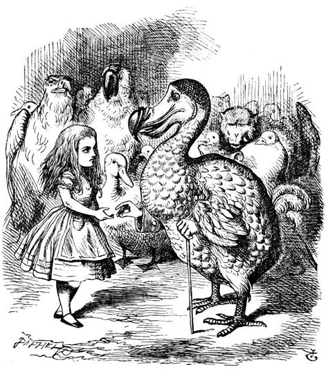 Alice With The Dodo Alice In Wonderland Illustrations Alices