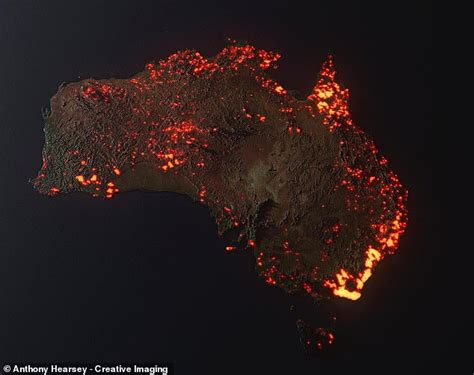 Australian Bushfires Destroyed A Fifth Of The Continents Forests