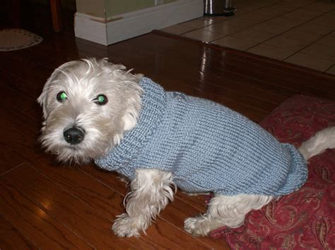 Ravelry Basic Knitted Dog Sweater Pattern By Judith L Swartz