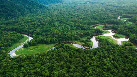 Visiting Brazils Amazon Rainforest Cn Traveller