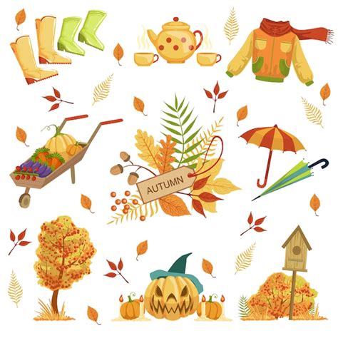 Premium Vector Set Of Autumn Related Objects