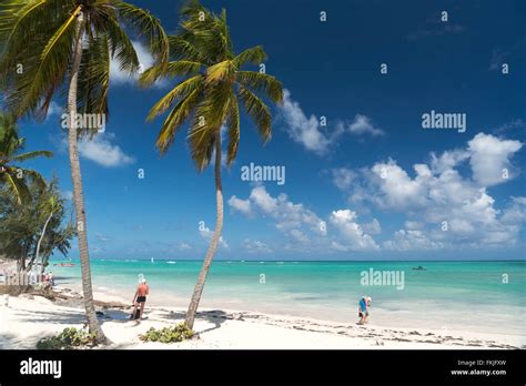 Palm Fringed Sandy Beach Of Playa Bavaro Punta Cana Dominican