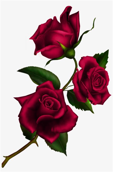 Free Download Rose Gothic Png Clipart Rose Clip Art Kiss From A Roses