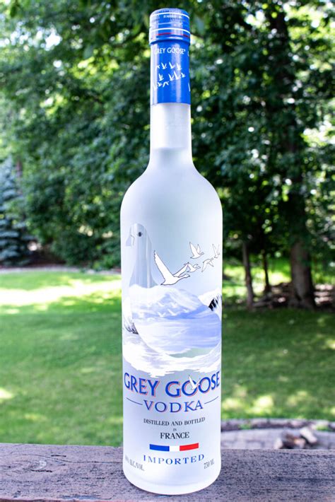 easy homemade proof of grey goose vodka 2023 atonce