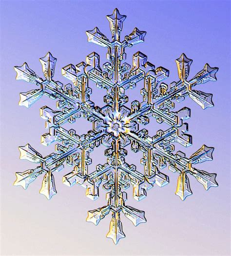 Schneeflocke Snowflake Frost Schneekristall Snowcrystal