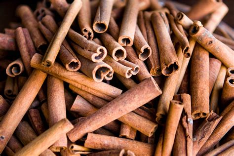 13 Spicy Facts About Cinnamon You Might Not Know I Interesting Facts