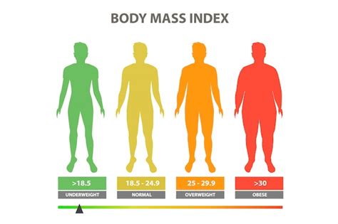 Woman Body Mass Index Vector Medical Infographic Body Mass Index