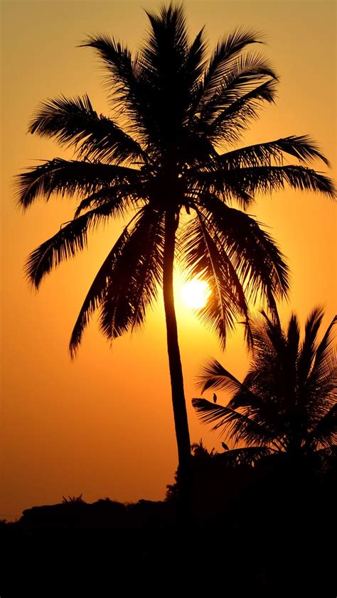 Download Wallpaper 720x1280 Palm Tree Silhouette Sunset Dark Samsung