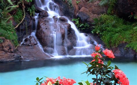 Waterfall Flowers Wallpapers Top Free Waterfall Flowers Backgrounds