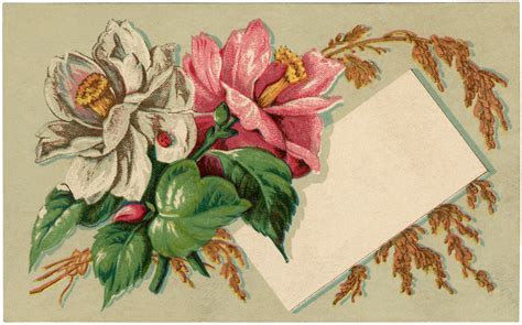 Antique Floral Label Image The Graphics Fairy