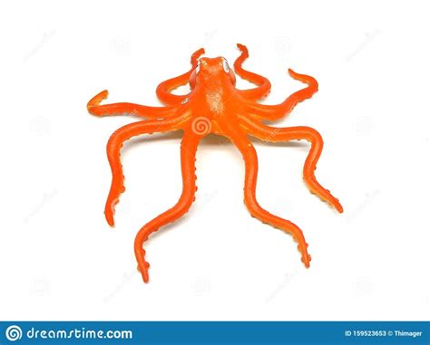 Orange Color Octopus Rubber Toy Stock Image Image Of Concept Design