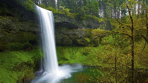 Nature Car Trees Forest Fall Vehicle Leaves Long Exposure Stream Stones