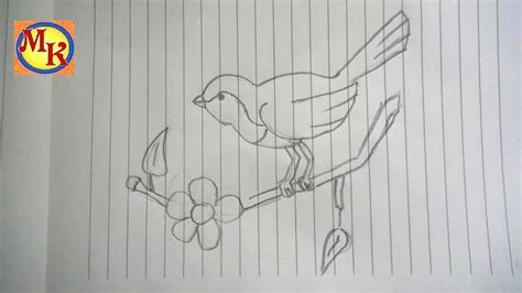 Cara Menggambar Burung Merpati Yang Mudah Mengggambar Dan Mewarnai 💕💕